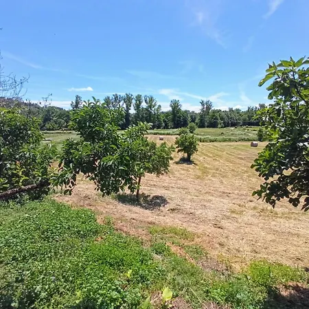 O Val De Vilaboa Boveda  Exterior photo